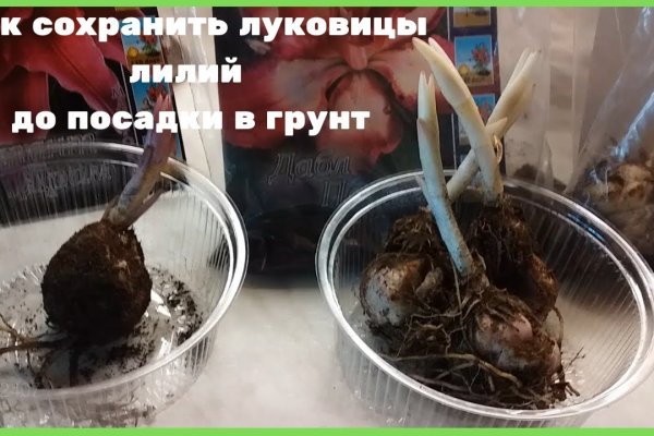 Кракен 2krnk