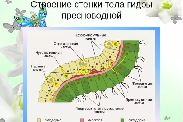 Кракен шоп интернет магазин