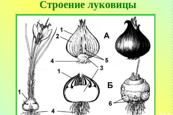 Как зайти на сайт кракен