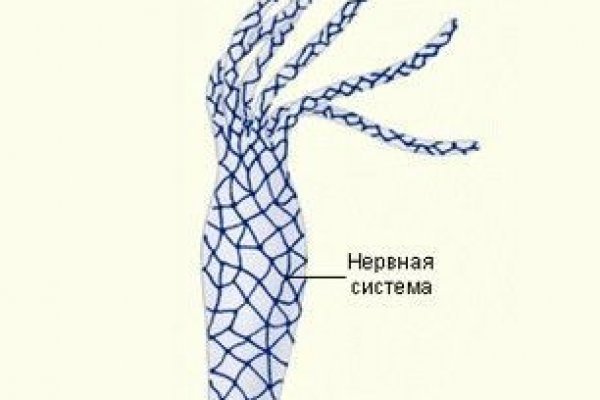 Как восстановить аккаунт на кракене