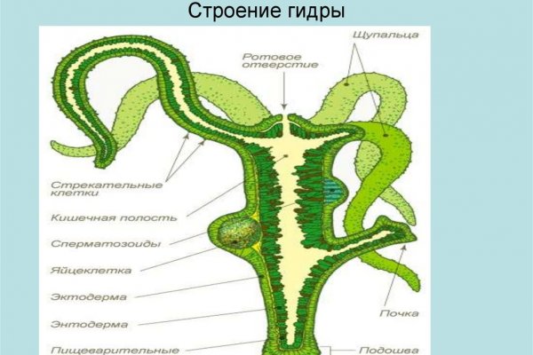 Кракен маркетплейс что это